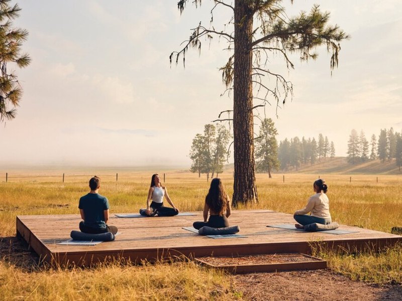 Wellness retreats
